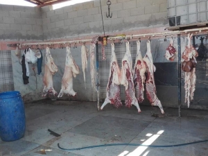 Reyhanlı’da Kaçak Et Operasyonu