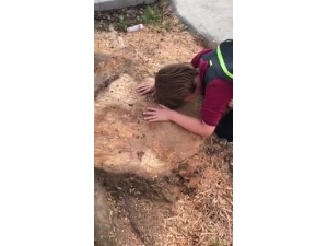 Doruk’un Ağaç Tepkisi Gündem Oldu