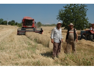 Hububat Alım Fiyatları Açıklandı