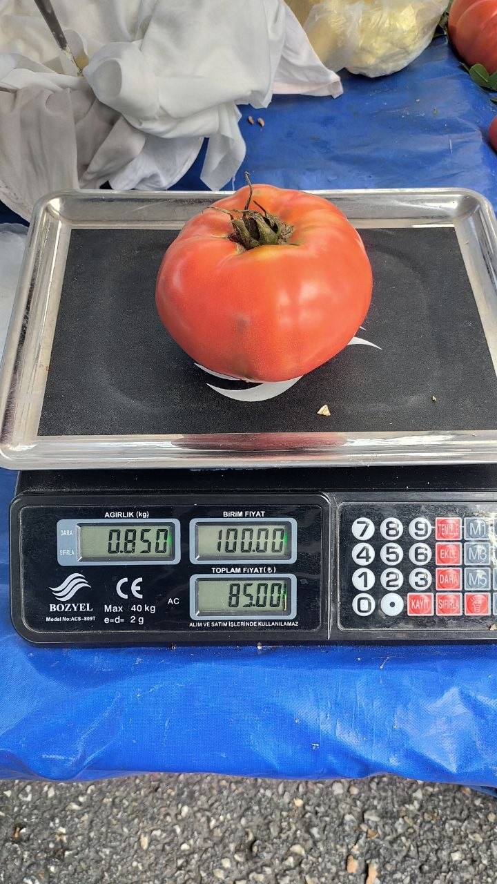 aydin-da-850-gramlik-domates-pazarda-ilgi-gordu