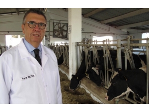 Dünya Süt Gününde Sağlıklı Süt Vurgusu