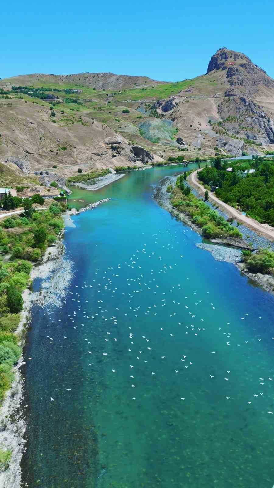martilar-murat-nehri-nde-gorsel-solen-olusturdu
