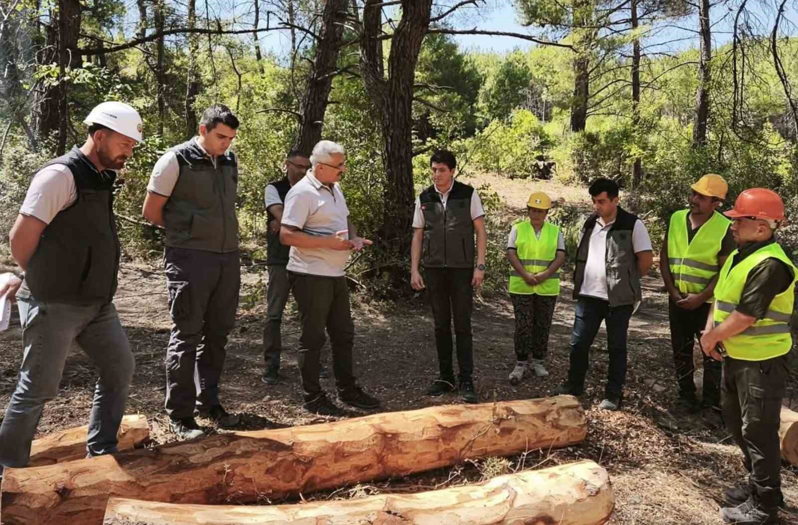 soma-ormanlarinda-yangin-riskine-karsi-yogun-calisma