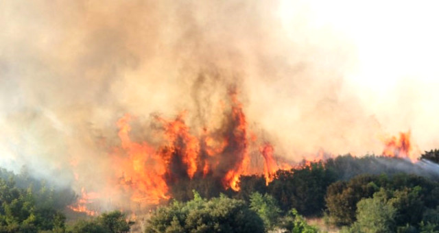 Çanakkale'de Orman Yangını Alarmı! 50 Hektarlık Alan Zarar Gördü