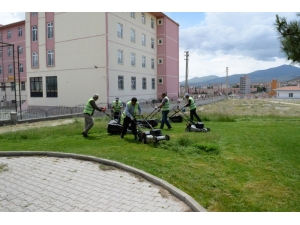 Daha Yeşil Bir Niğde İçin Çalışmalar Sürüyor