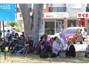 Antalya’da Lgs Heyecanı