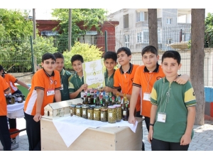 Öğrenciler Zeytinde Kendi Markalarını Oluşturdu