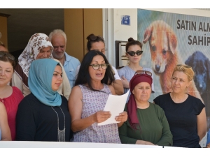 "Hayvanların Yaşam Hakkını Tanımayan Siyasilere Oy Yok" Kampanyası