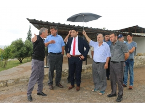 Yeni Başkan Hizmetleri Yerinde İnceledi