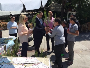 Dünya Astım Günü Dolayısıyla Çam Fidanı Dağıtıldı