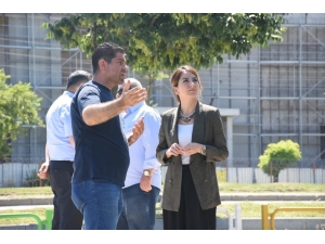 Düzce’de Amerikan Kelebeği İle Mücadele Başladı