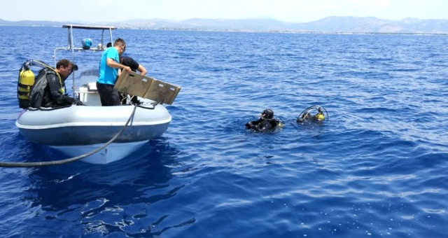 Ayvalık'taki Tekne Faciasında Kaybolan 2 Balıkçıyı Arama Çalışmaları Aralıksız Devam Ediyor