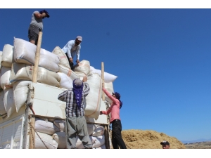 Ramazan Ayında Saman İşçilerinin Zorlu Mücadelesi