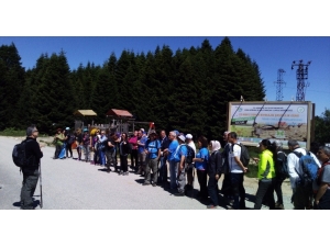 Çevre İçin Doğa Yürüyüşü