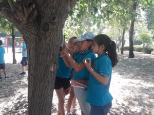 "Okul Dışarıda Günü" Etkinliği