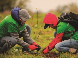 Daikin, Yıllık Sürdürülebilirlik Raporunu Yayınladı
