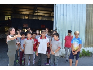 Öğrenciler Ambalaj Atıkları Toplama Ve Ayırma Tesisini Gezdi