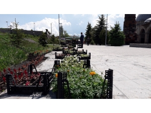 Kars’ta Tarihi Mekanların Etrafı Çiçek Açtı
