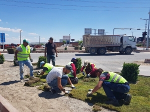 Niğde Belediyesinden Yeşillendirme Atağı