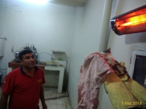 Dereye Düşen Kediyi İtfaiye Ekipleri Kurtardı