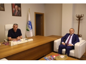 Başkan Toçoğlu’ndan Sapanca’ya Asfalt Müjdesi