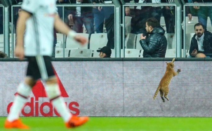 Uefa'dan Beşiktaş'a Para Cezası