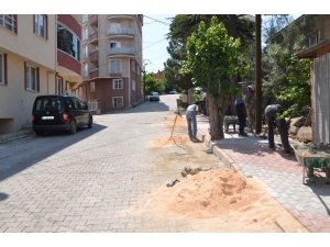 Kaldırım Yenileme Çalışmaları Devam Ediyor