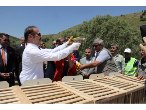 Yozgat’ta 3 Bin 500 Kınalı Keklik Doğaya Salındı