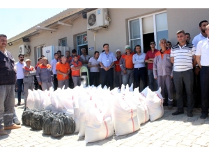 Kilis Belediyesi Çalışanlarına Gıda Kolisi Dağıtıldı