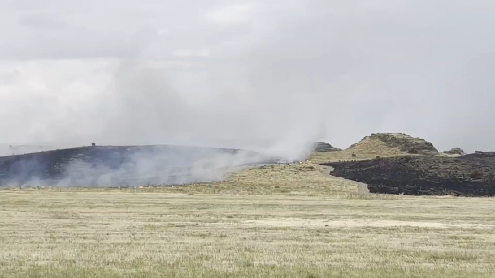 ahlat-tatvan-yolunda-otluk-alanda-yangin-panigi
