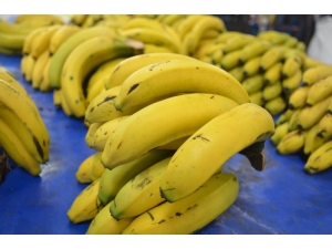 Anamur’da 3.5, Bilecik’te 7 Tl