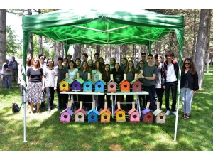 Lise Öğrencilerinin Hazırladığı 22 Ahşap Kuş Yuvası Parktaki Ağaçlara Asıldı