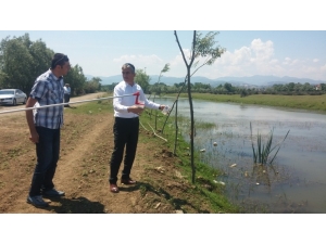 Tarımsal Sularda “Nitrat Kirliliğine” Sıkı Takip