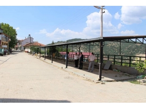 Şaphane’de Köylere Vişne Ve Kiraz Alım Merkezi