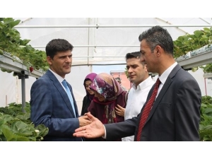 İl Müdürü Yoldaş’ın Gölpazarı Teması