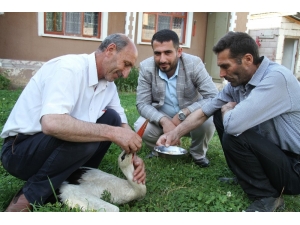 Muhtardan Örnek Davranış