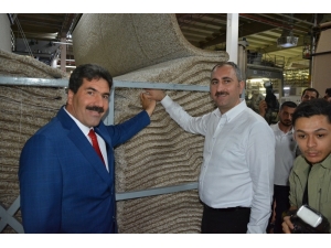 Adalet Bakanı Gül Halı Dokudu