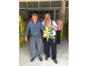 Kayısı Alımına Bayram Molası