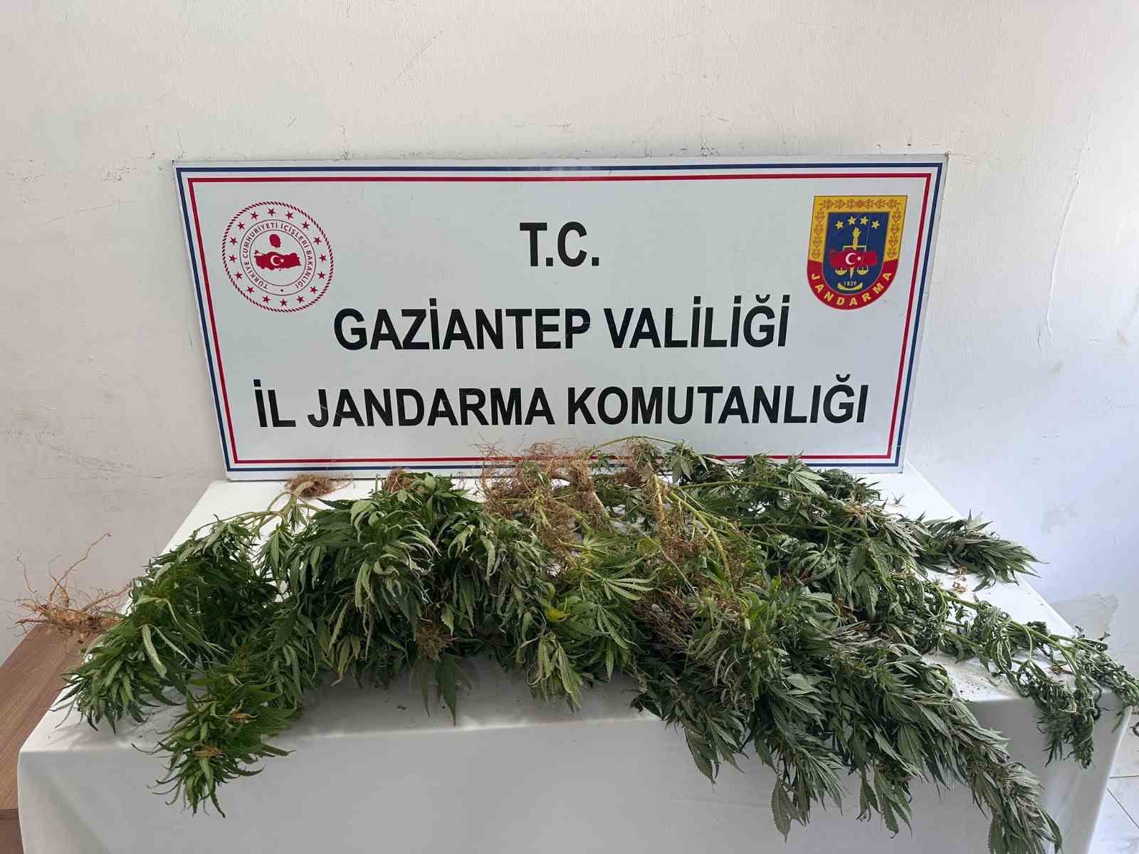 gaziantep-jandarmadan-uyusturucu-operasyonu