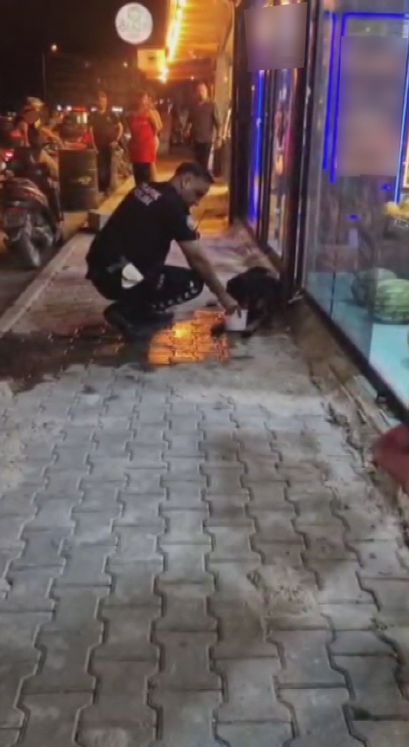 silahla-vurulan-sokak-kopegine-polis-ekipleri-sahip-cikti