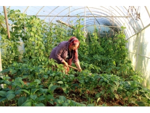 Pazarcı Safiye; Milletvekilliği İçin Bağımsız Aday Oldu
