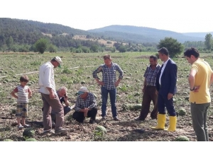 Soğucakpınar Köyünde Hasar Tespit Çalışmaları