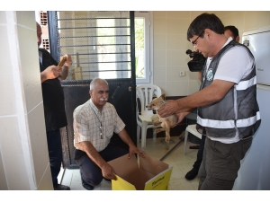 Ölmek Üzere Bulunan Yavru Tilkiye Belediye Sahip Çıktı