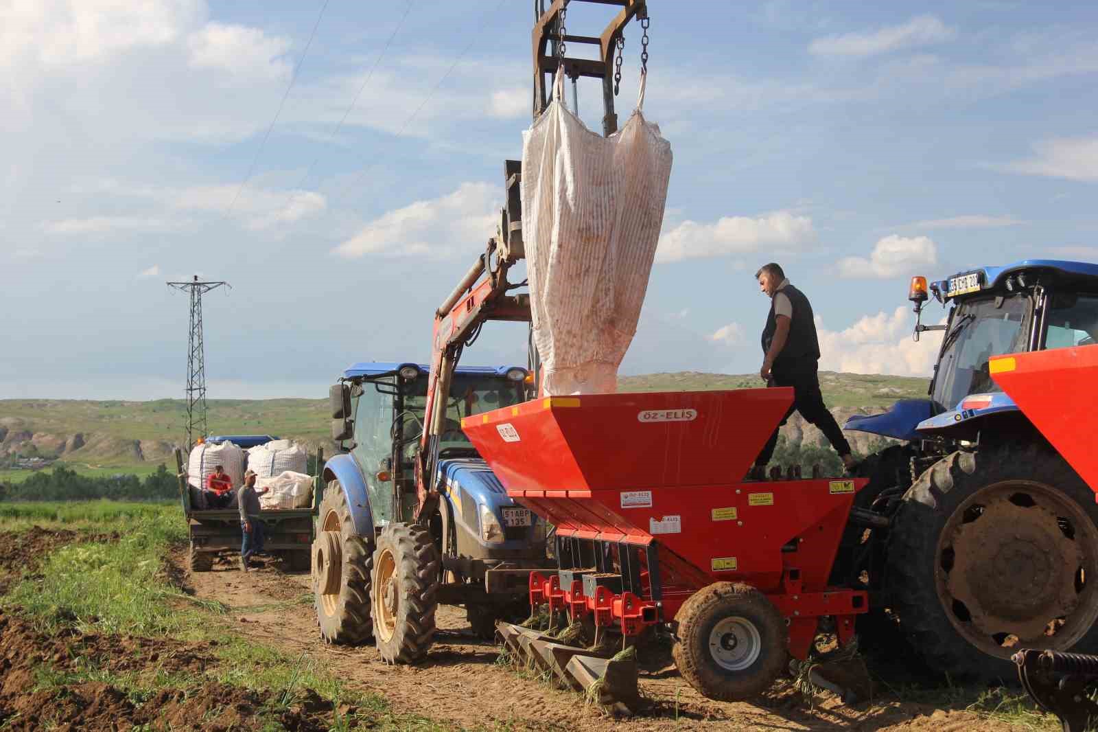 sivas-ta-patates-ekim-sezonu-basladi-hedef-75-bin-ton