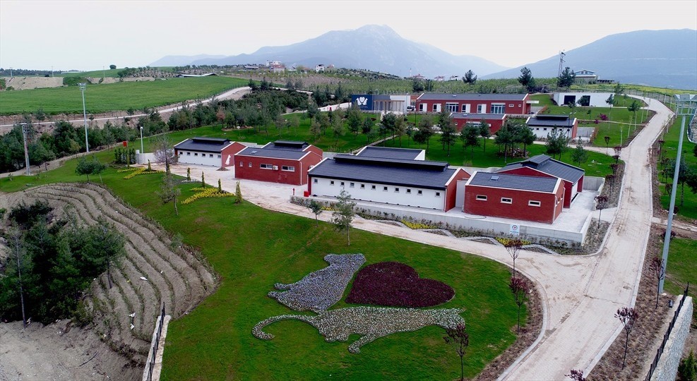 denizli-buyuksehir-belediyesinden-barinak-iddialarina-suc-duyurusu