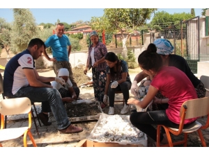 Ödemiş Çevresinden 1 Ton Yaş Koza Beklentisi