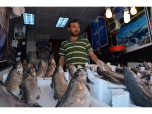 Balıkçı Tezgahları Balık Olmayınca Sebze Ve Meyve Tezgahına Döndü