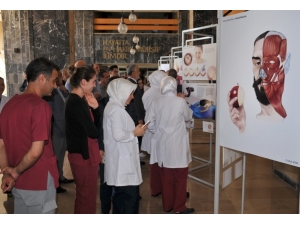 Sanatın Ve Tıp Biliminin Kesiştiği Sergi