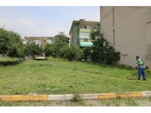 Körfez Belediyesi’nden Boş Arazilerde Çevre Düzenlemesi