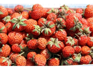 Bayramda Tatlı Yerine Çilekli Lezzetler